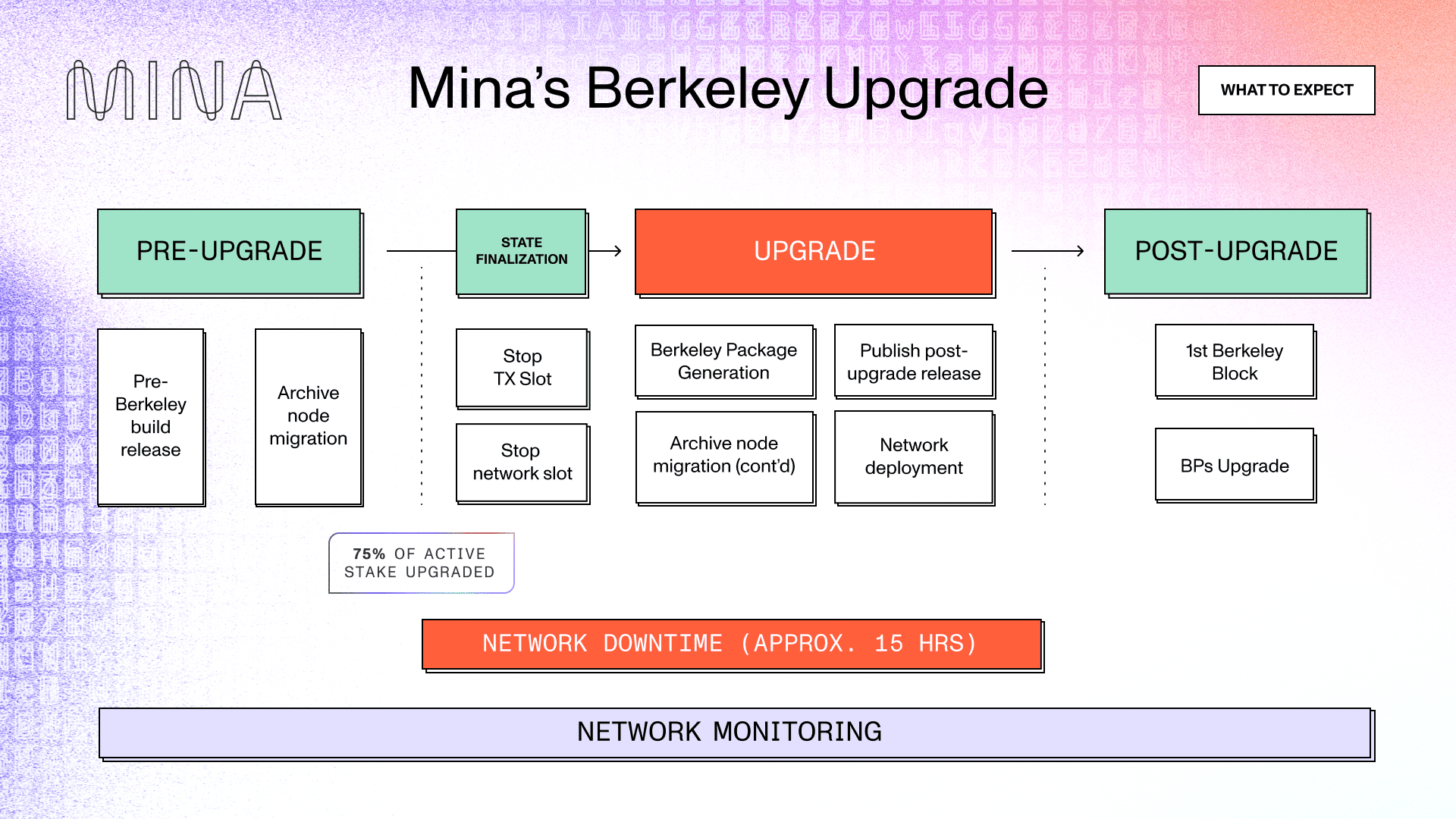Mainnet Upgrade steps